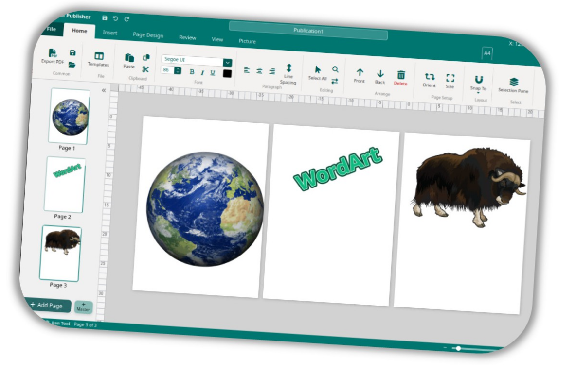 Multi-Page View